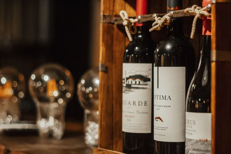 L'Etichetta come Mappa del Tesoro: Il Sommelier Svela i Codici Nascosti del Vino Italiano