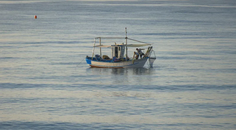 Uomini e Mare: I Volti e le Storie di Chi Porta l'Eccellenza sulla Nostra Tavola